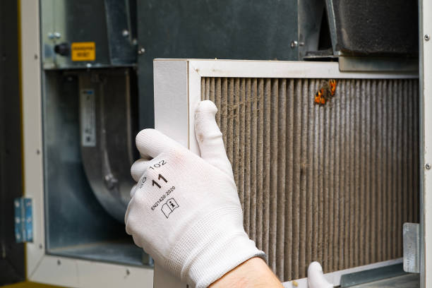 Best Air Quality Test  in Plano, IL